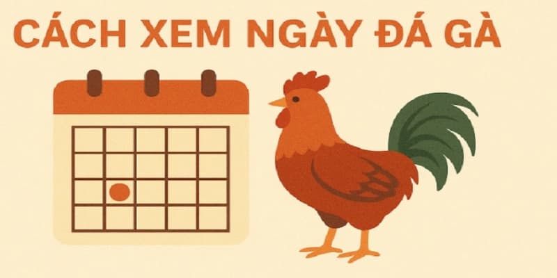 cách xem ngày đá gà Giới thiệu về cách xem ngày đá gà