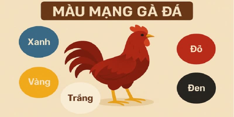 màu mạng đá gà Tổng quan về màu mạng đá gà